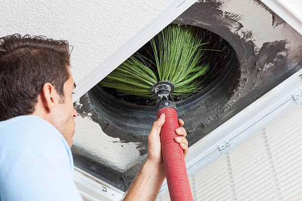 Best Air Duct Mold Removal  in Kirkl, IN